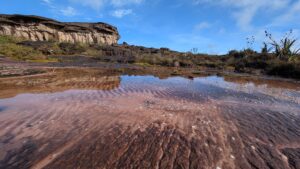 Andreas Aschaber-unberührte Natur-Guyana 2025